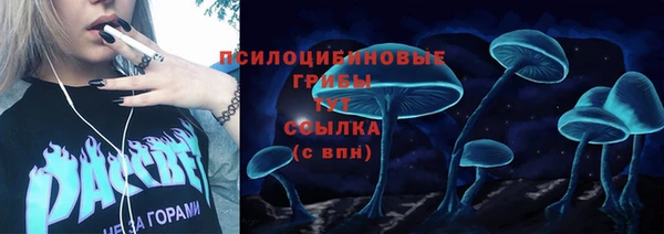 прущие крисы Алексин