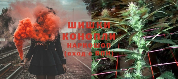 дживик Снежинск