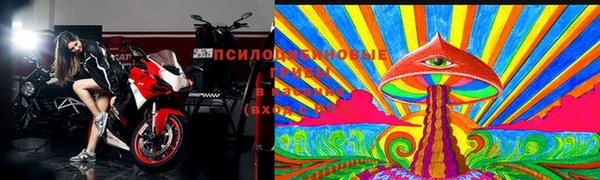 СК Алексеевка